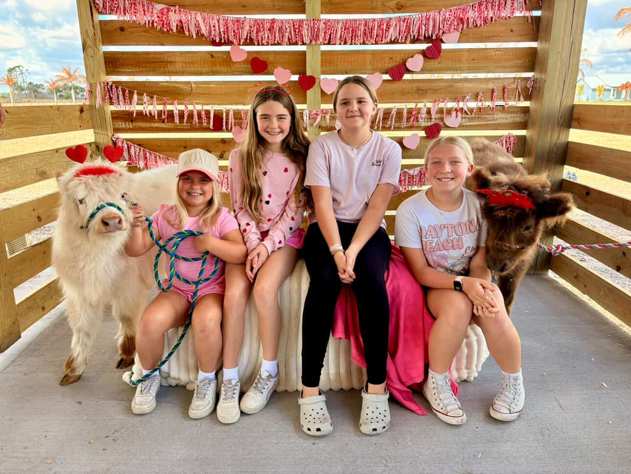 Dekker Family Farms | Mini Cow Experiences in Fort Pierce, FL